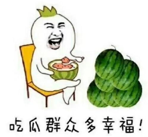 可以吃瓜的娱乐圈文